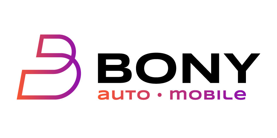 Bony auto-mobile Renault Vichy