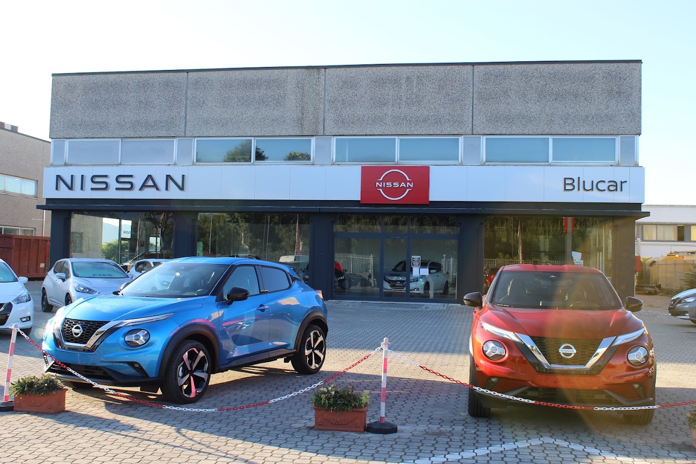 Brogi e Collitorti | Blucar srl